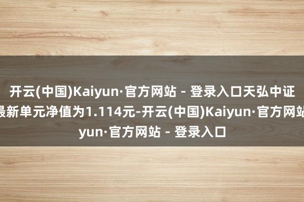 开云(中国)Kaiyun·官方网站 - 登录入口天弘中证证券