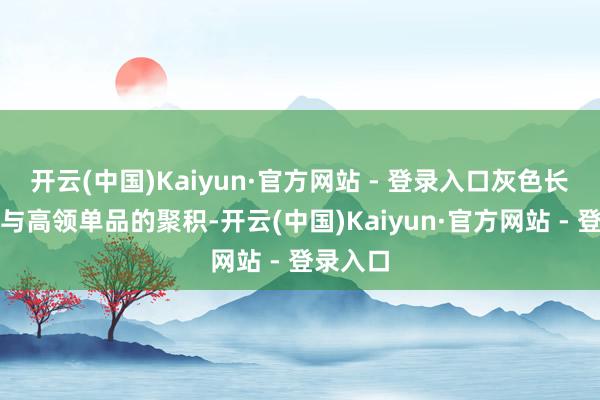 开云(中国)Kaiyun·官方网站 - 登录入口灰色长款大衣
