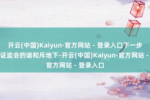 开云(中国)Kaiyun·官方网站 - 登录入口下一步将在中国证监会的谐和斥地下-开云(中国)Kaiyun·官方网站 - 登录入口