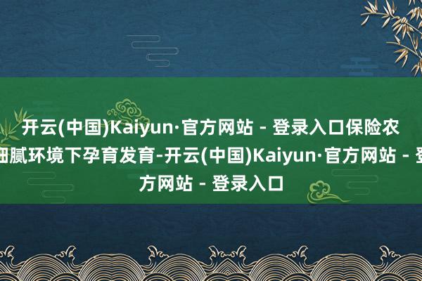 开云(中国)Kaiyun·官方网站 - 登录入口保险农作物在
