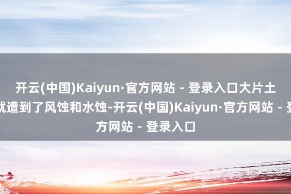 开云(中国)Kaiyun·官方网站 - 登录入口大片土地很快