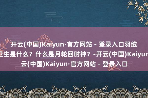 开云(中国)Kaiyun·官方网站 - 登录入口羽绒服不错翻
