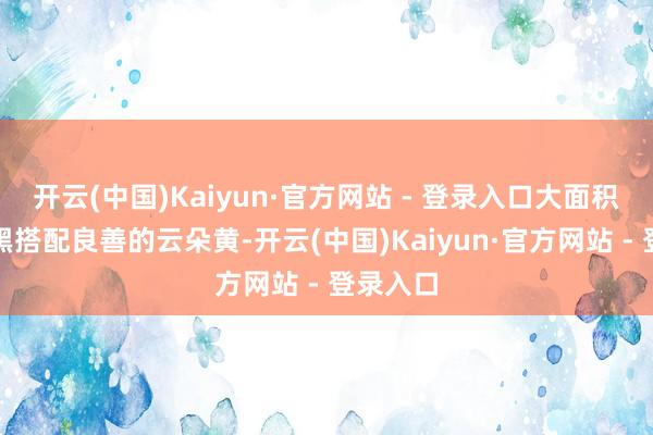 开云(中国)Kaiyun·官方网站 - 登录入口大面积的高亮黑搭配良善的云朵黄-开云(中国)Kaiyun·官方网站 - 登录入口